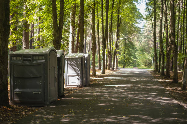 Best Affordable portable toilet rental  in Falconer, NY